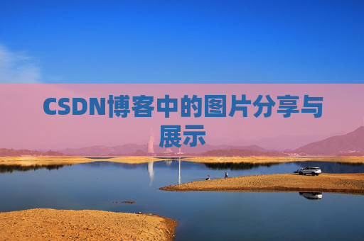 CSDN博客中的图片分享与展示